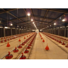 Prefabricated Steel Structure Chicken Shed (KXD-PCH8)